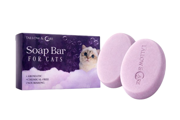 Cat Soap